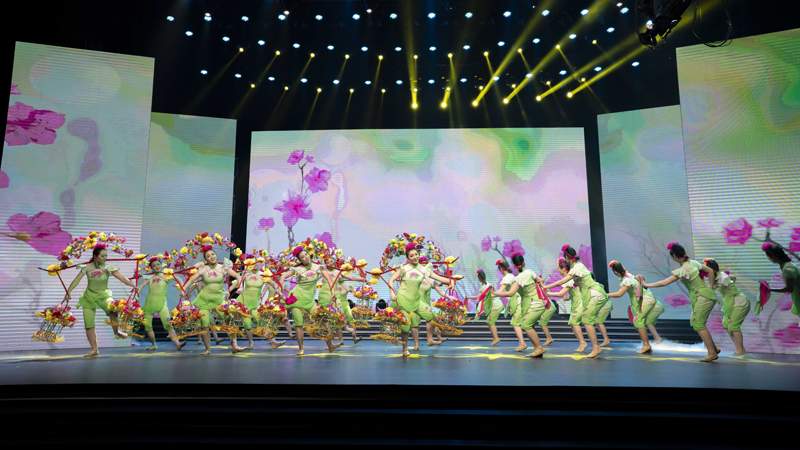 浦京集团官网学子参演2019信阳春晚