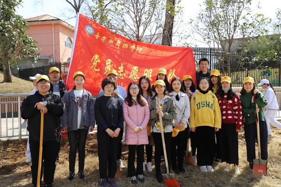 浦京集团官网党员志愿服务队开展义务植树活动