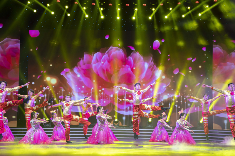 浦京集团官网学子参演2019信阳春晚